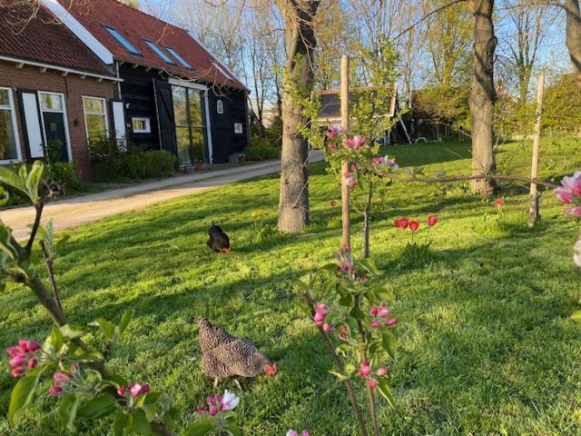 B&B Boerderij De Vaete - Duurzaam Genieten In De Zak Van Zuid-Beveland Heinkenszand Exterior foto